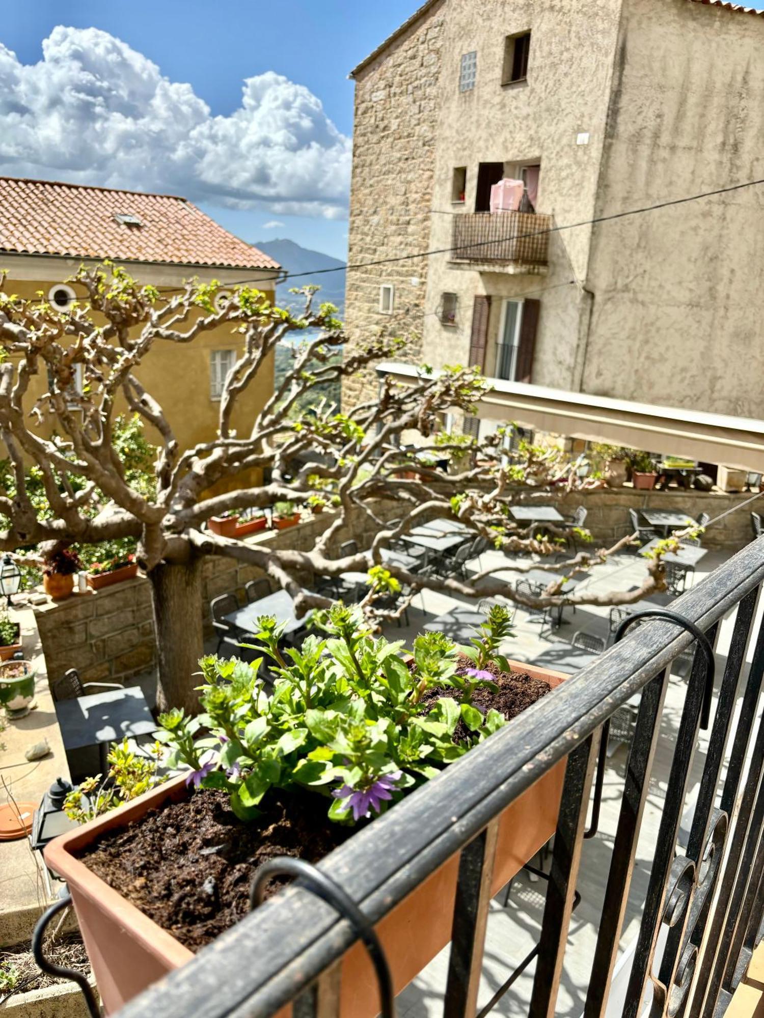 Hoetel U Santa Maria Olmeto  Ruang foto